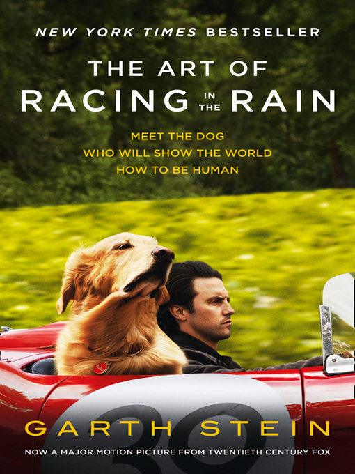Title details for The Art of Racing in the Rain by Garth Stein - Wait list